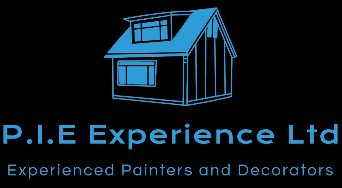 P.I.E Experience Ltd logo